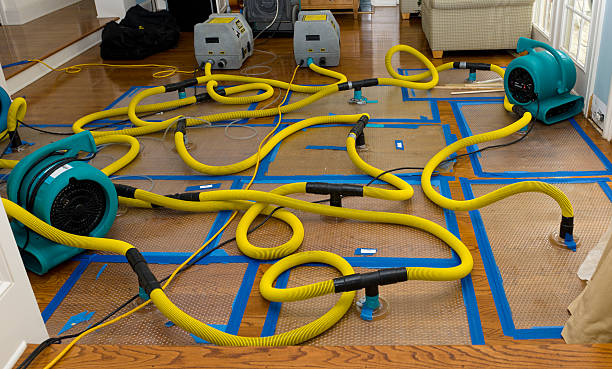 Professional Flood Damage Restoration technician working in Farmington, NM